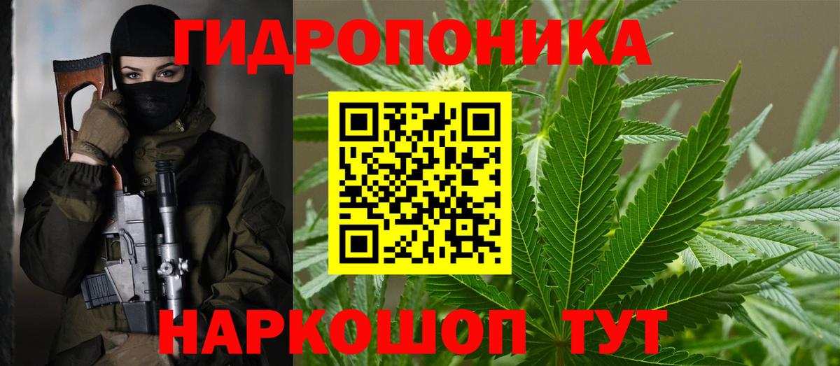 Марихуана семена  Вход с VPN  Белгород  Конопля гибрид  Шишки марихуана планчик 